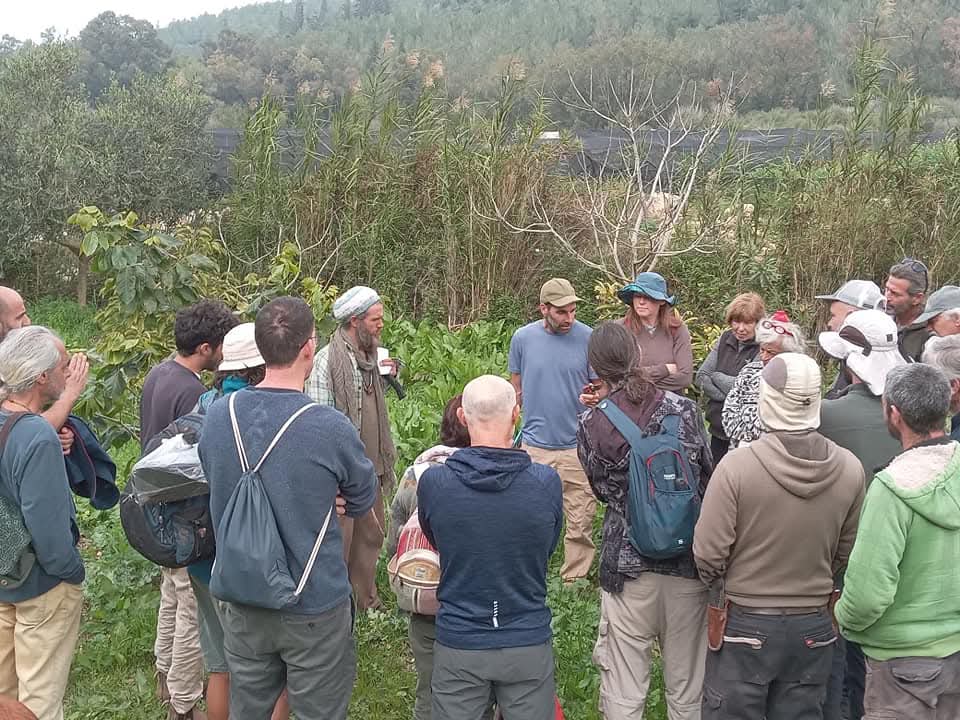 Teaching circle in the orchard