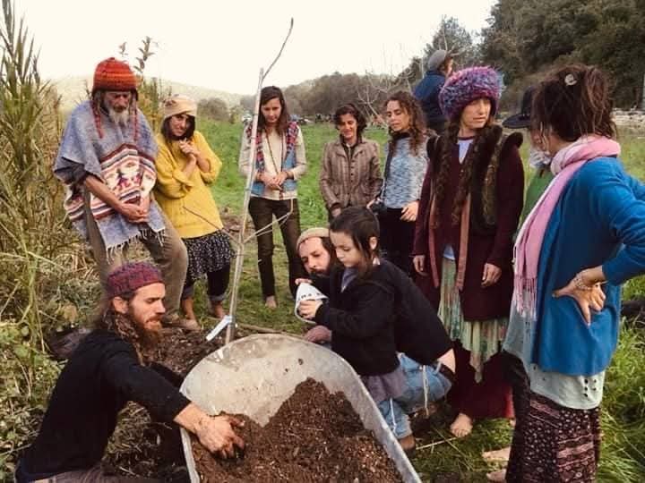 Planting a tree together on the land