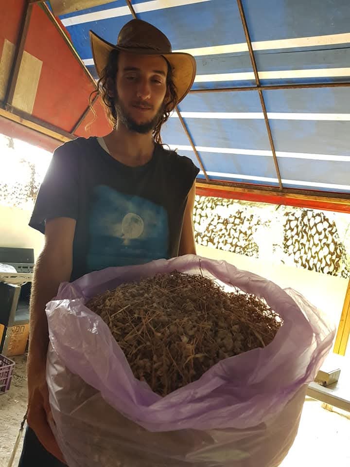 Sack of dried medicinal herbs