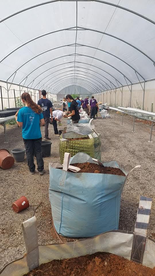 Volunteers planting in the greenhouse