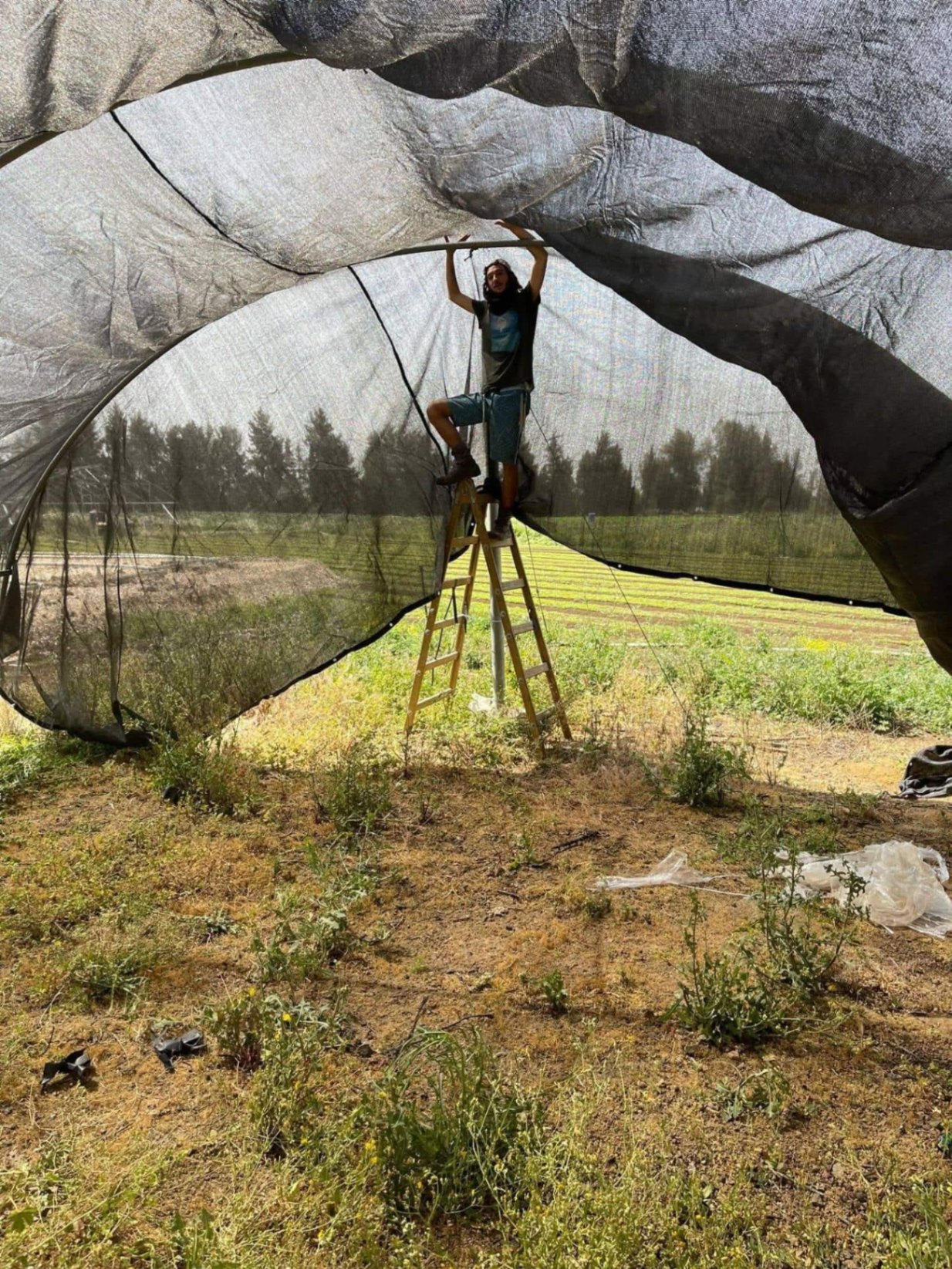 Raising shade nets over the growing fields