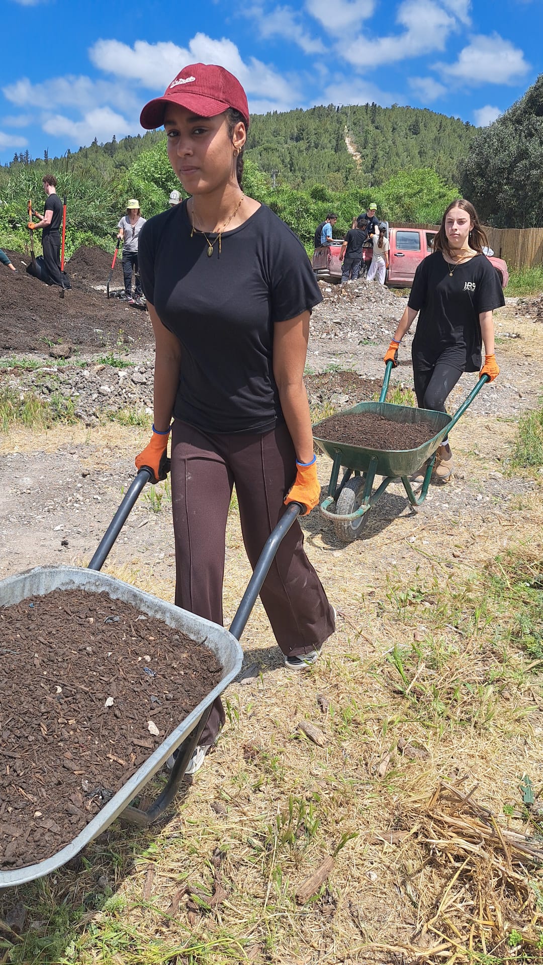 Hauling compost by wheelbarrow